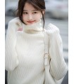 Sweater Turtleneck Serbaguna Gaya Minimalis Atasan Dalaman Wanita 